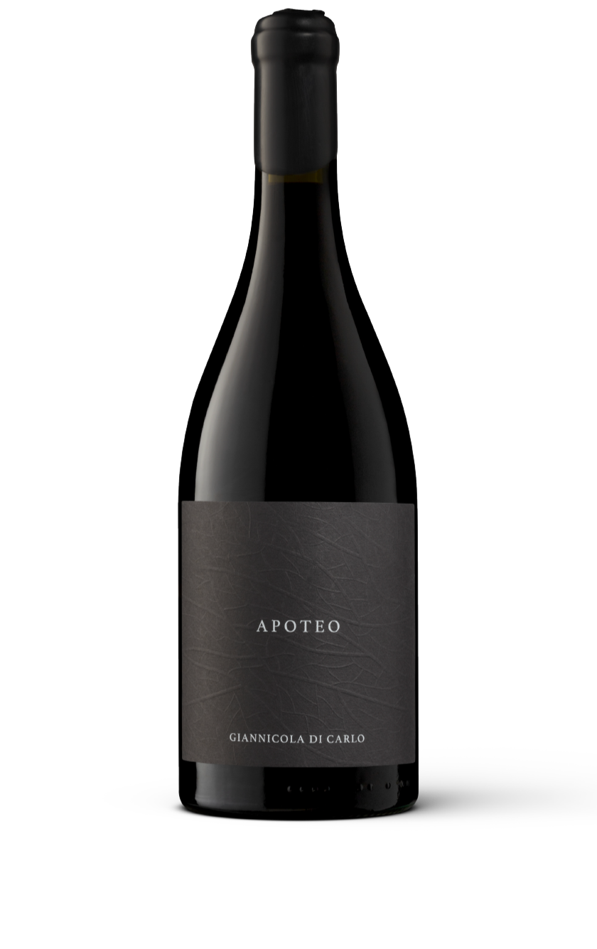 Apoteo Rosso