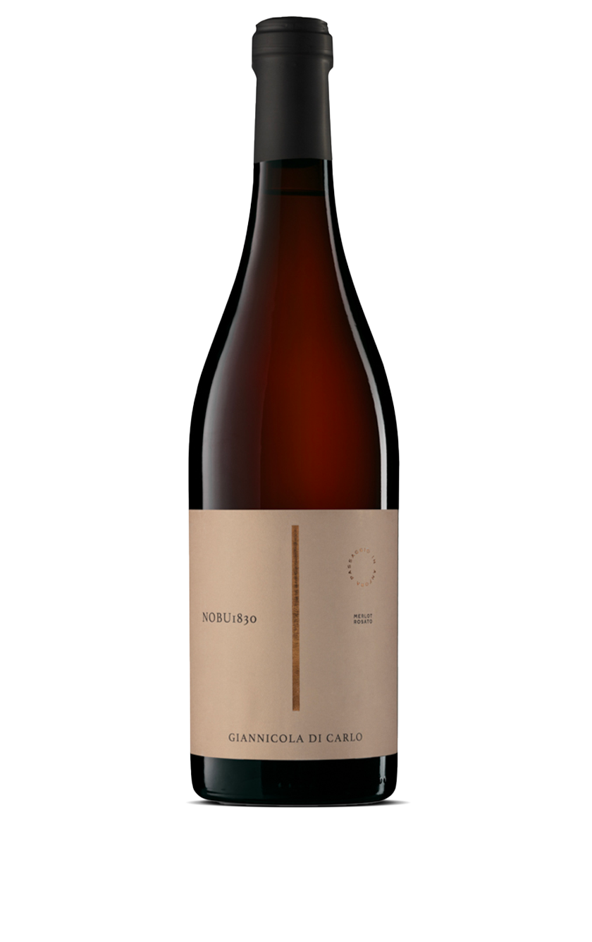 Nobu 1830 Merlot rosato