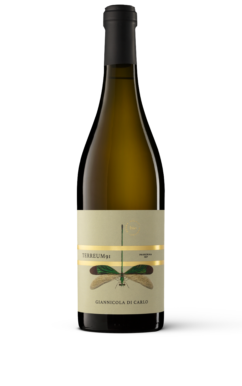 Terreum 91 Passerina IGP