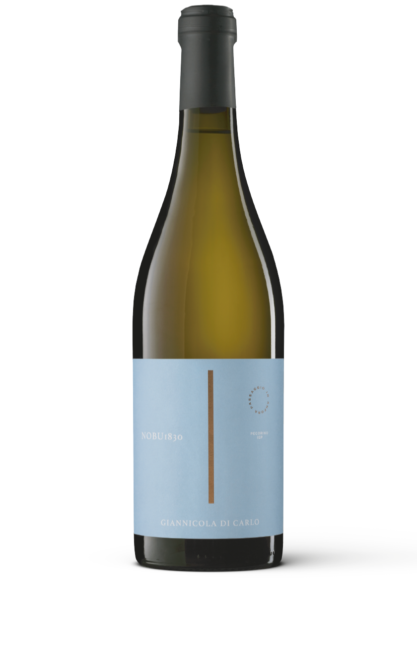 Nobu 1830 Pecorino IGP